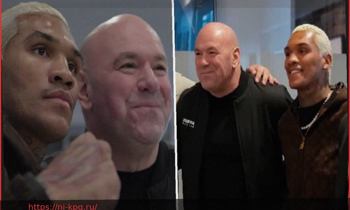 Владелец UFC защищает сделку Zuffa Boxing с Конором Бенном на $15 млн