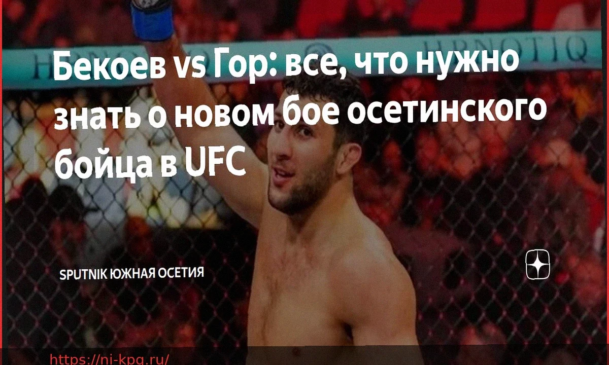 Когда и во сколько смотреть бой Бекоев – Гор на UFC Fight Night 272 по московскому времени?